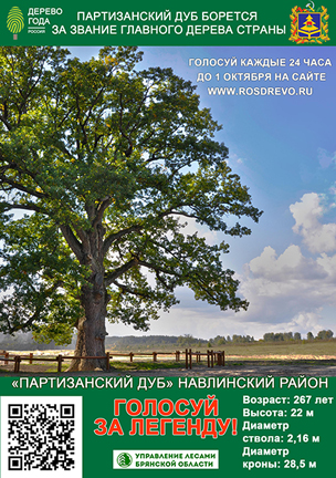 Брянский партизанский дуб